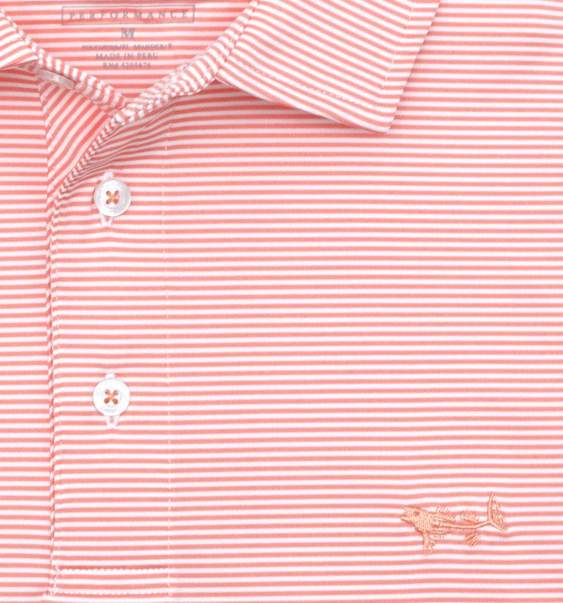 Coastal Cotton Performance Striped Polo
